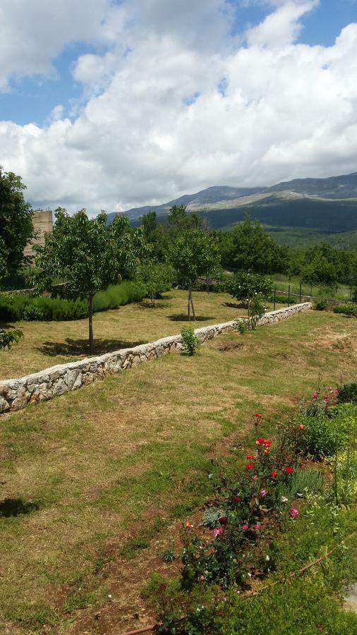 Villa Cetina Milasi Экстерьер фото