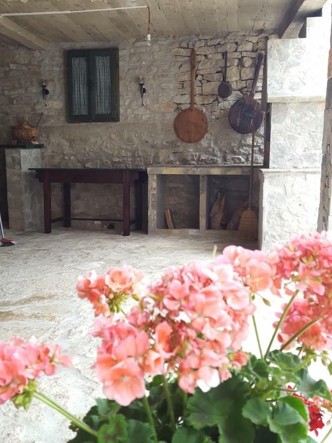Villa Cetina Milasi Экстерьер фото